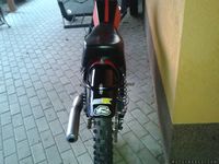 ČZ 981