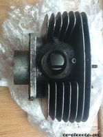  dily 981cz