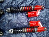 Marzochi,Sachs Hydrocross