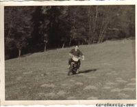 Puch MC 175/250