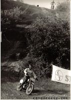 Puch MC 175/250