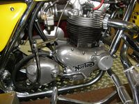 wasp-norton