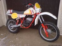 SWM 250 TF 3