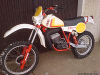 SWM 250 TF 3