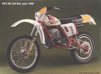 FH/3 RG 250