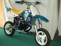 Collard XR50