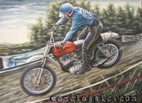 Obraz motorismus