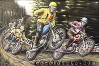 Obraz motorismus