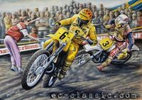 Obraz motorismus
