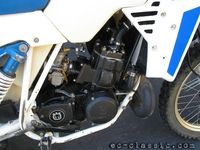 WR 250