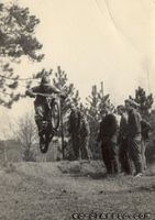 JAWA 50 - závody