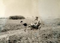 JAWA 50 - závody