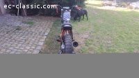 KTM Rotax Flattrack