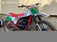 yamaha250