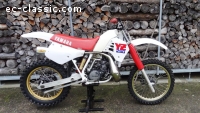 YZ 250